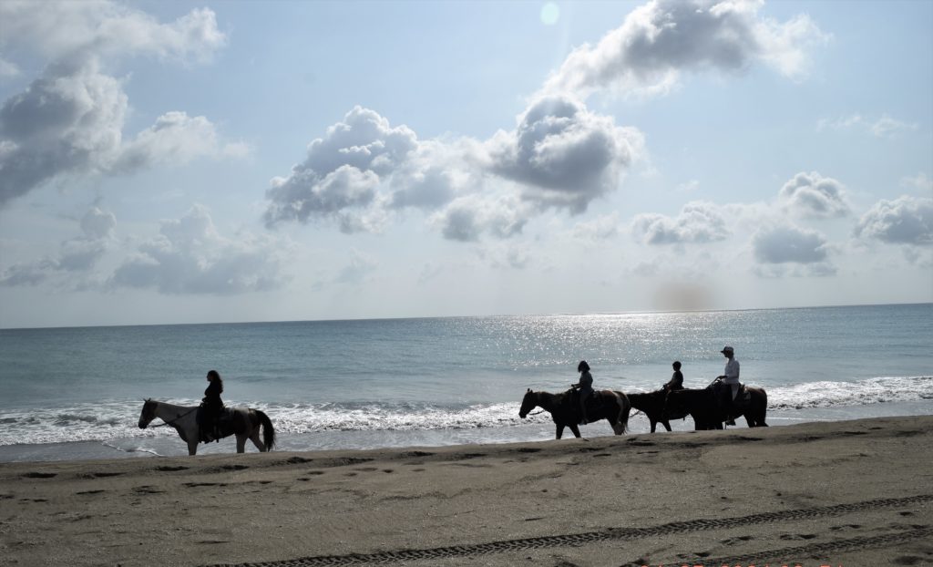 horseback-riding-beach