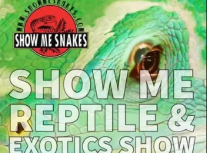 reptile and exotics show