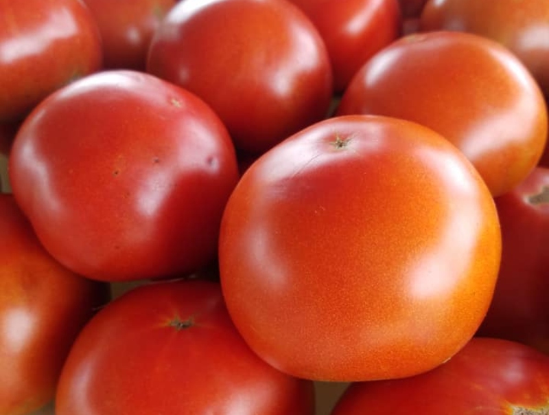 city of lebanon farmers market tomatoes