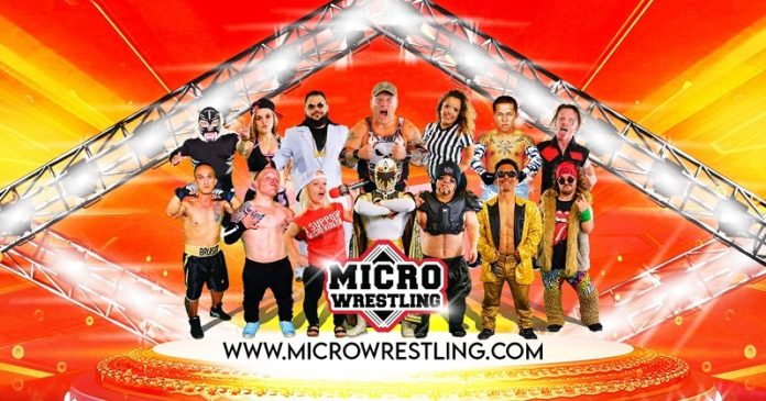 Micro Wrestling