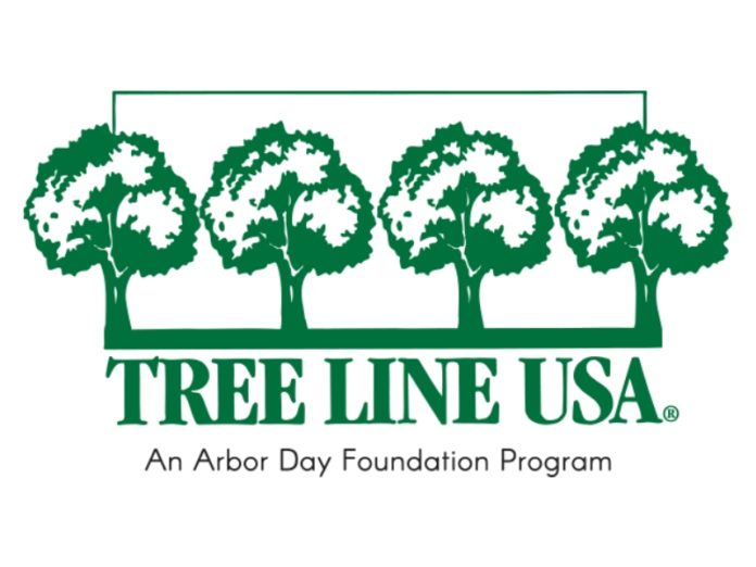 MTE Receives Tree Line USA Recognition