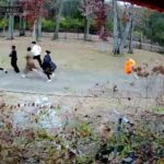 Buddhist Monk Attacked at a Nashville Temple