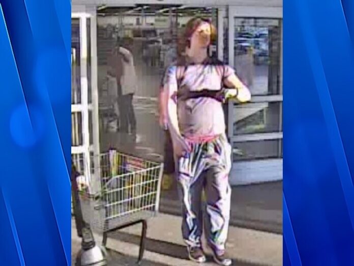 The Lebanon Police Department is seeking assistance in identifying the following theft suspect.