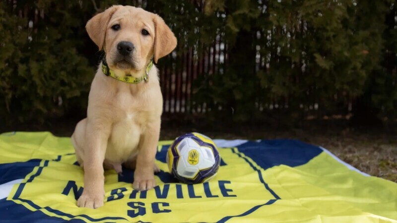 Nashville SC Partners wtih America’s VetDogs and Western Governors University