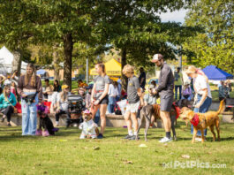 Nashville Humane Association’s Dog Day Returns to Centennial Park