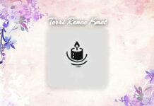 Terri Renee Kmet Obit