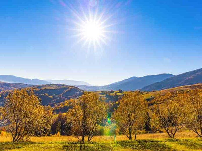 Sunny weather conditions for local forecast