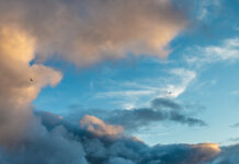 11/25/25: Overcast Morning at 59°F with Dense Drizzle Later