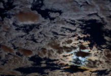 12/1/25: Overcast Morning at 30°F, Heavy Rain Expected Today