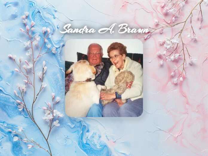 Sandra A. Braun Obituary Sandra A. Braun Obit