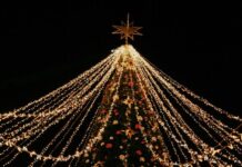 Nashville Yards to Host Christmas Tree Lighting