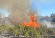 Lebanon Firefighters Contain 25-Acre Brush Fire