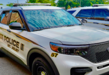 Traffic Stop in Mt. Juliet Leads to Arrest of Man Wanted in 3 Counties