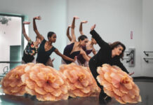 Nashville Ballet Announces Leadership Transition