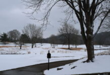 AAA Warns Homeowners: Winter Storm Damage Expected to Surge