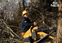 NES Adopts New Approach To Tree Trimming Following Winter Storm Fern