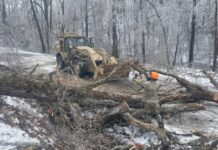 Mt. Juliet Continues Citywide Debris Collection After Storm Cleanup