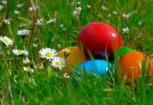 Future Generation Early Learning Center to Host Free Spring Egg Hunt, Open House