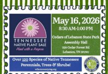 Transform Your Garden at the TN Native Plant Sale at Cedars of Lebanon State Park TN-Native-Plant-Sale