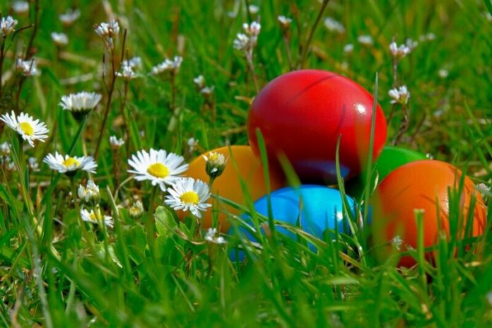 Easter-Egg-Stock-Photo