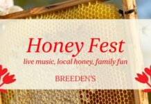 Wilson Weekend: 5 Happenings This Weekend Honey Fest