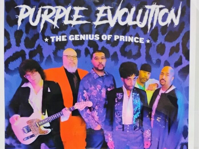 purple evolution cropped