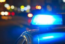 Teen Killed by Falling Tree at Nashville Camp Identified